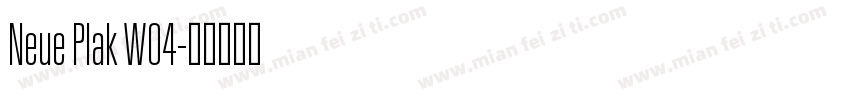 Neue Plak W04字体转换